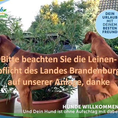 キューリッツ Jagd-Angler-Holzhaus-Im-Wald-Am-Seeヴィラ エクステリア 写真